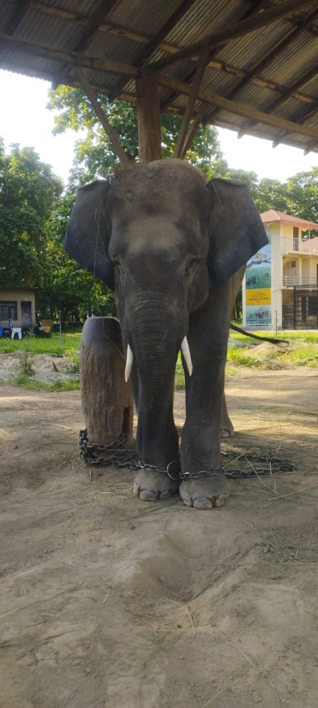 Khagendra Prasad