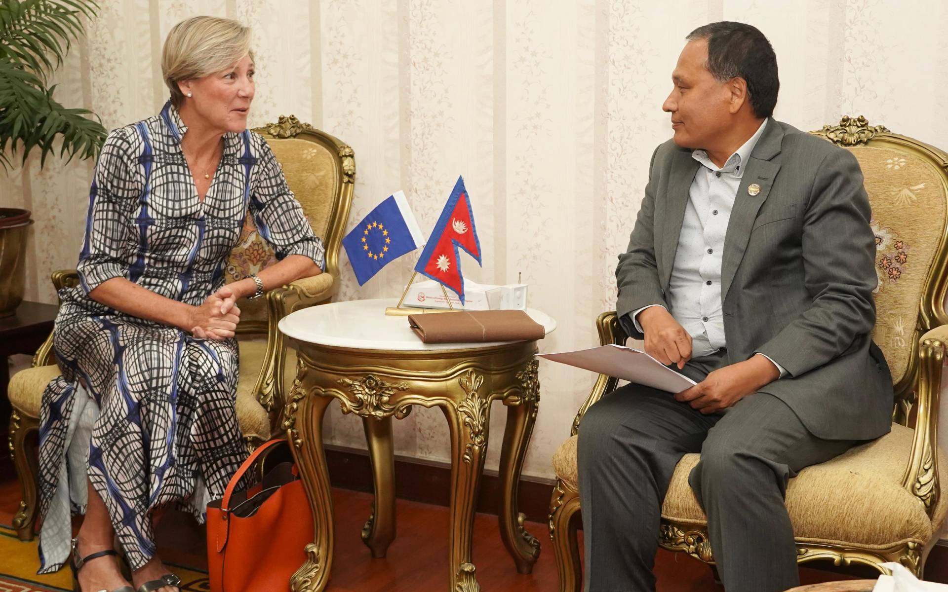 Minister Ghising Meets EU Ambassador to Discuss Energy Cooperation