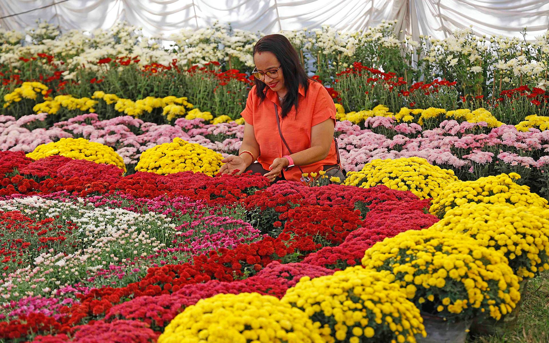 18th Godavari Flower Competition and Exhibition Kicks Off in Lalitpur