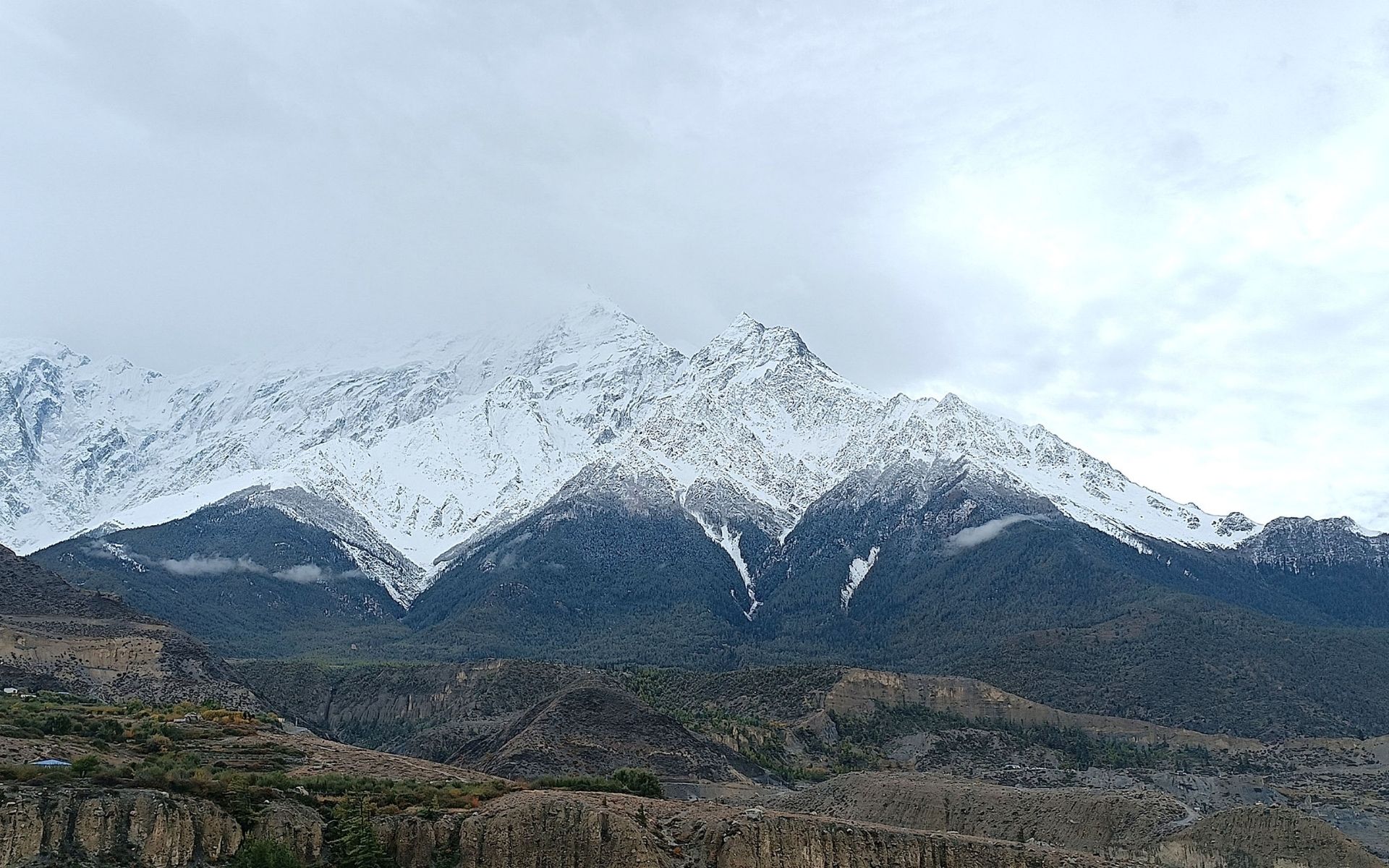 Heavy Snowfall Disrupts Traffic in Mustang