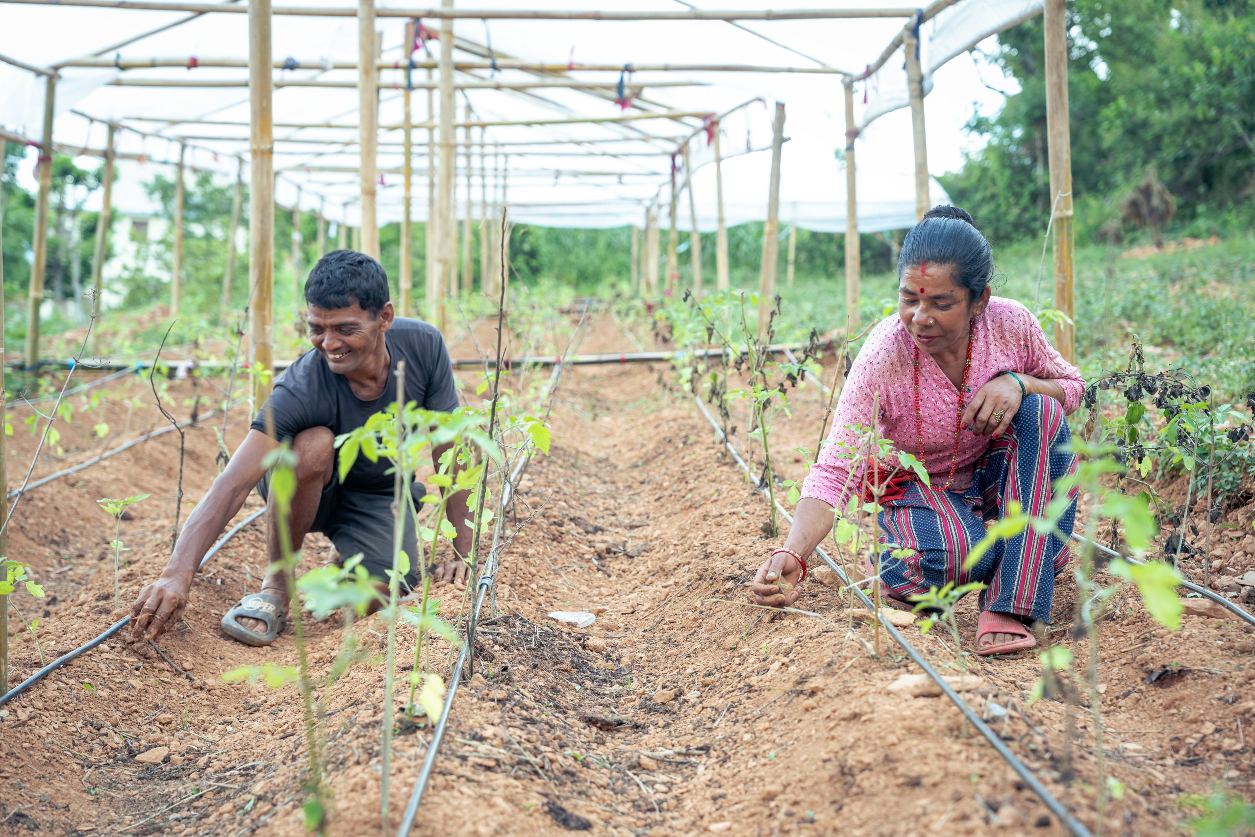 Dramatic Transformations Through Climate-Resilient Farming