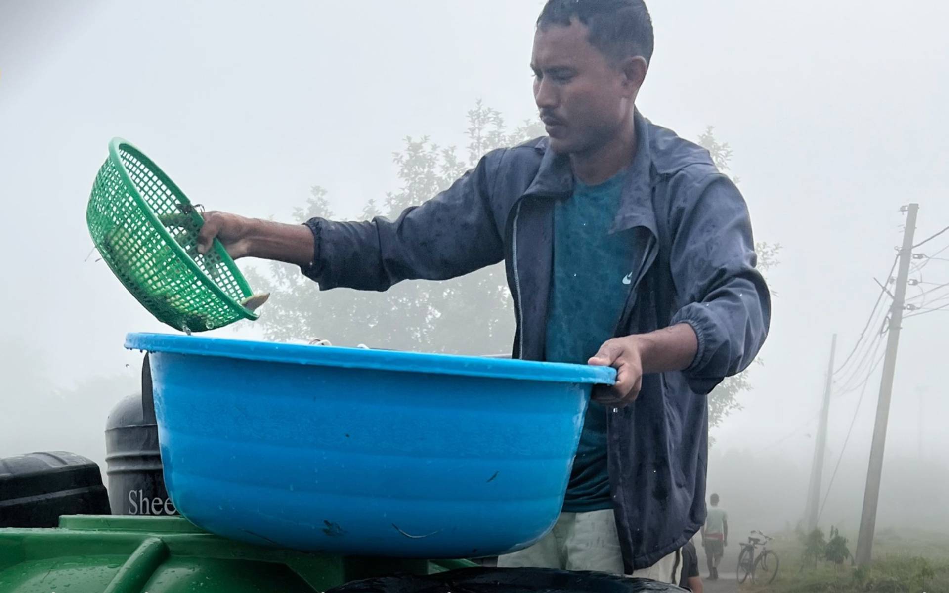 FAO Nepal Tags 4,000 Pangasius Fingerlings to Boost Sustainable Aquaculture
