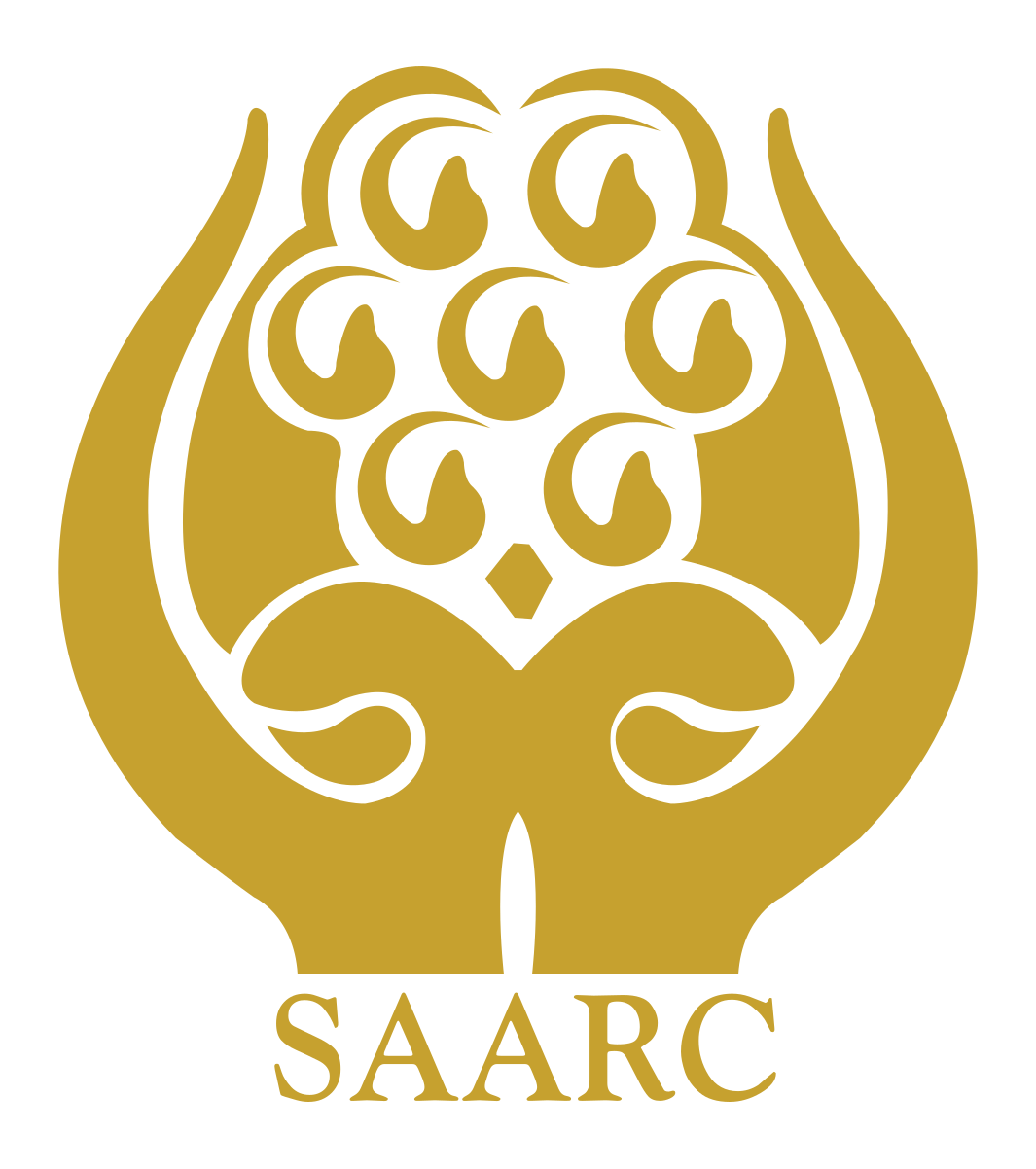 SAARC Marks 40th Anniversary of Charter Adoption, Leaders Call for Renewed Regional Cooperation