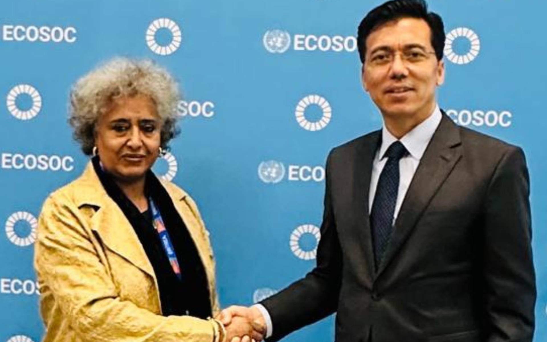 UN ECOSOC President Meets Eritrea’s Permanent Representative