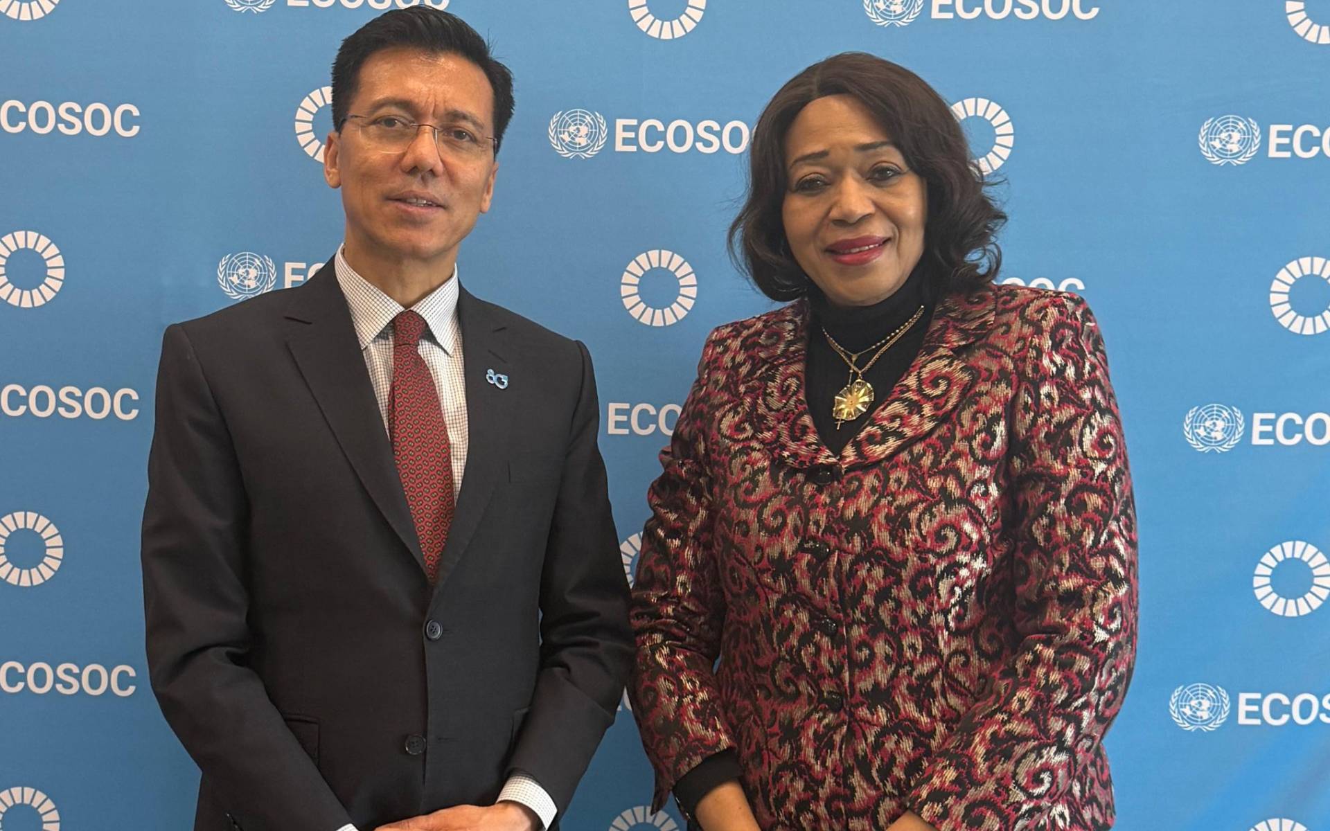 ECOSOC President Meets IAEA Representative Ahead of HLPF