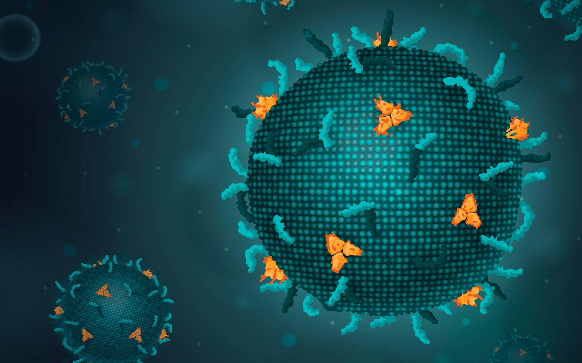 Health Ministry Urges Vigilance Against Nipah Virus