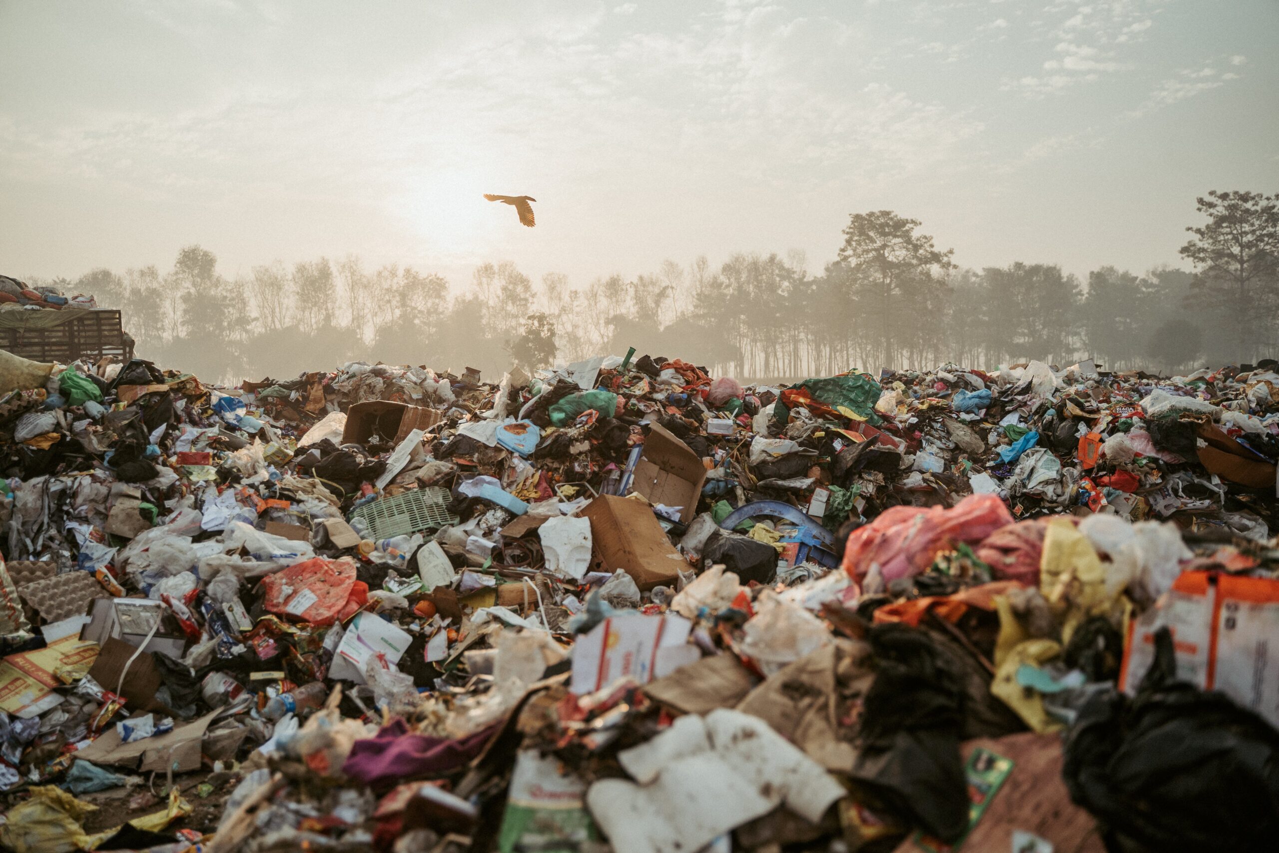 Dhangadhi Turns Waste Into Opportunity Through UNDP Green Transition Project