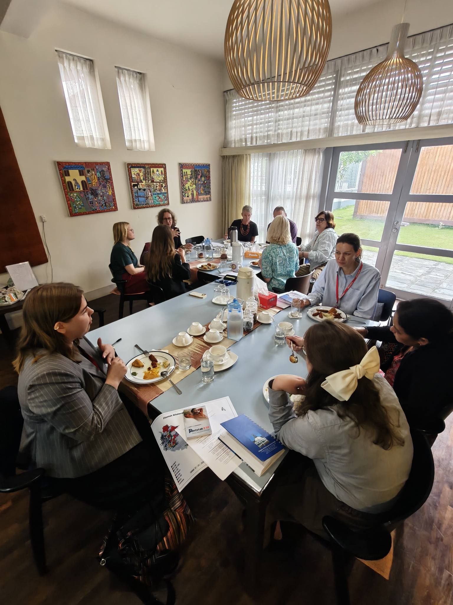 Finnish Embassy Organizes Synergy Meeting with EU Nepal and Various Delegation Programs