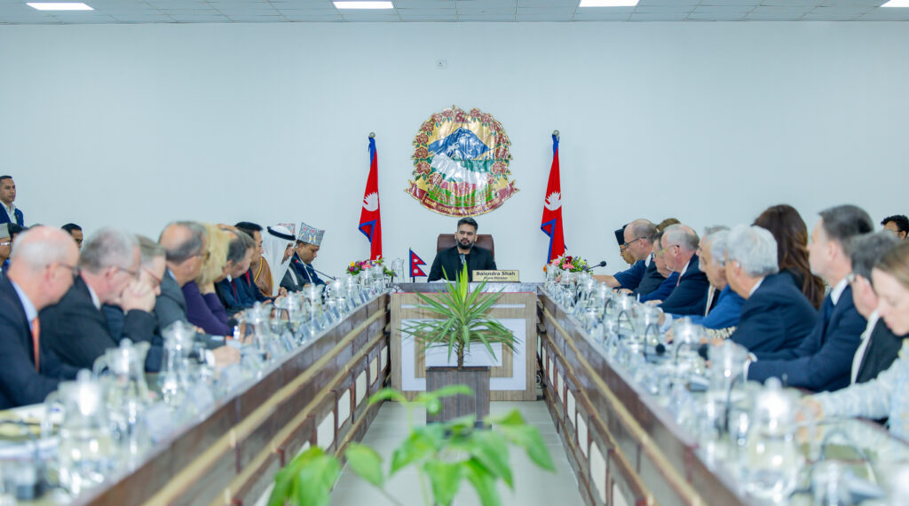 EU Ambassadors Sit on a Joint Call on Prime Minister Shah