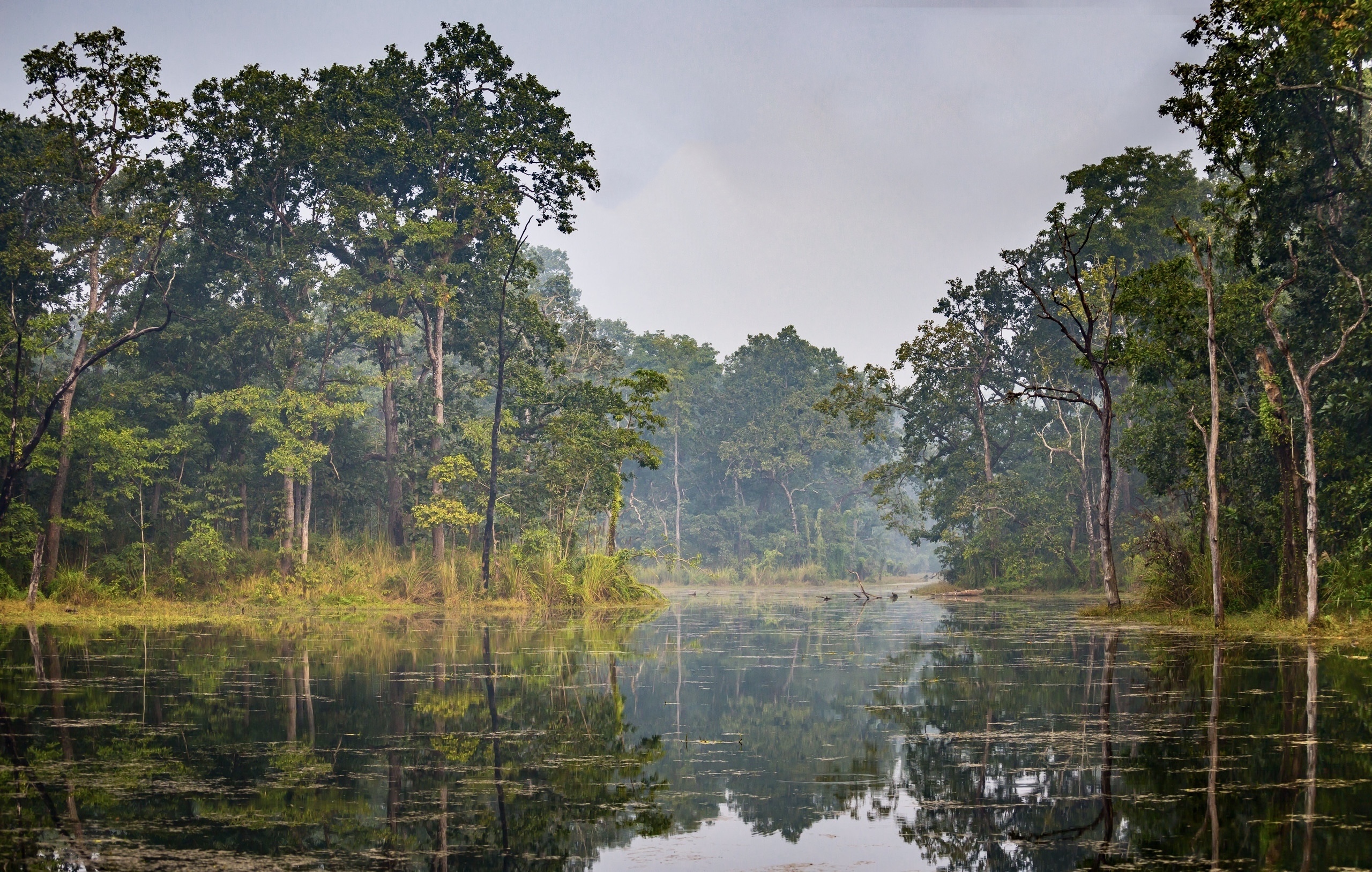 Ecotourism Being Promoted in Four National Parks