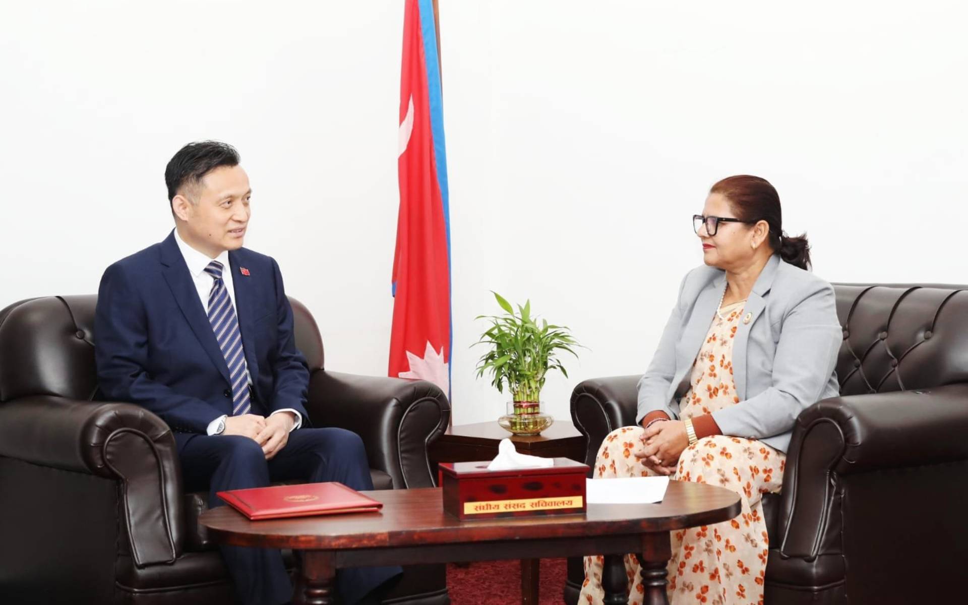 Ambassador Zhang of China Calls on Vice Chairperson Bhandari
