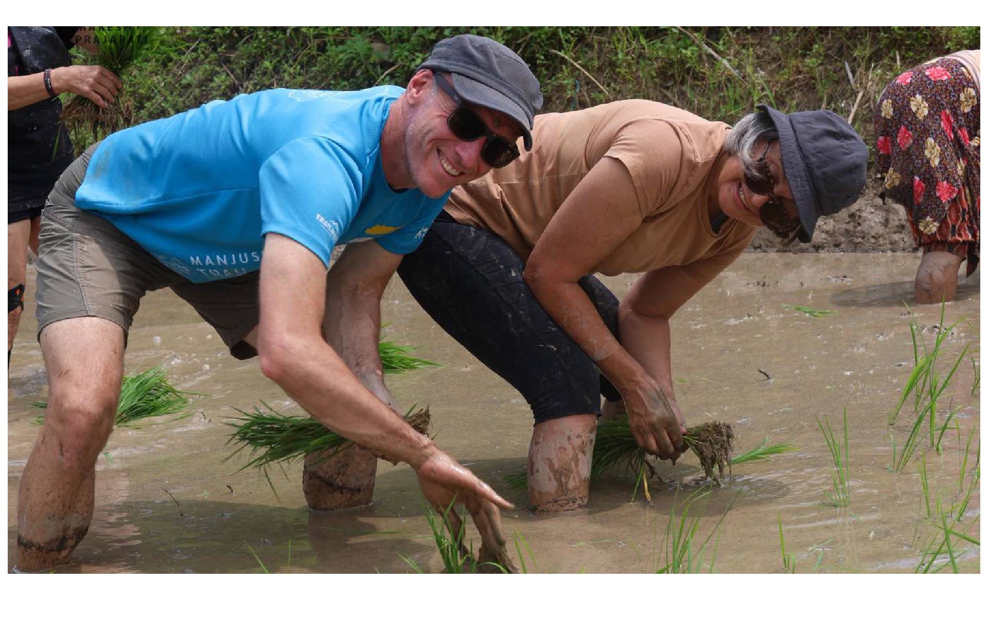 Ambassadors Celebrates National Paddy Day 