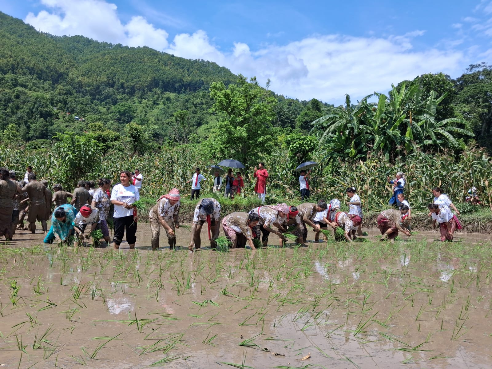 Connecting Tourism with Agriculture through 'Ropai Mahotsav'