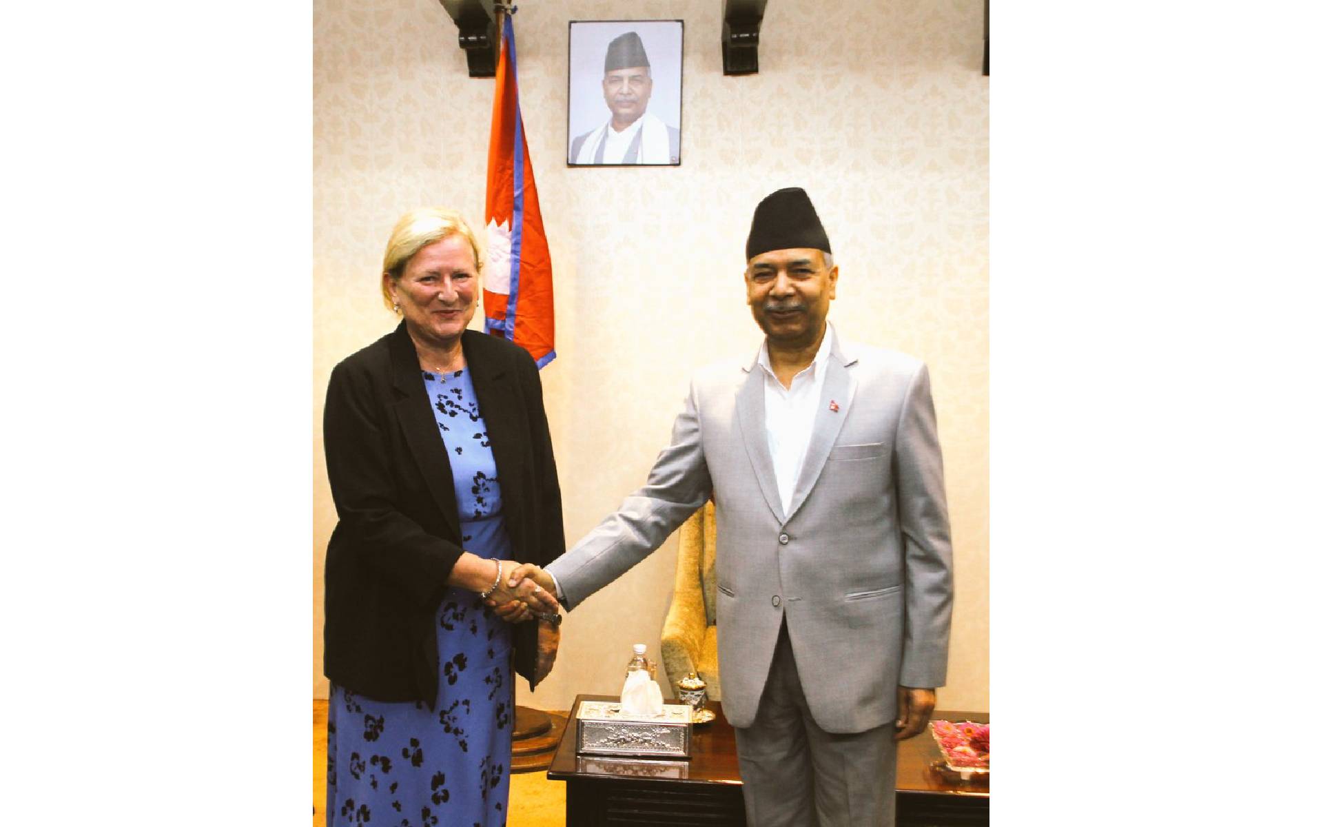 French Ambassador Corteval Pays Courtesy Call on Vice President Yadav