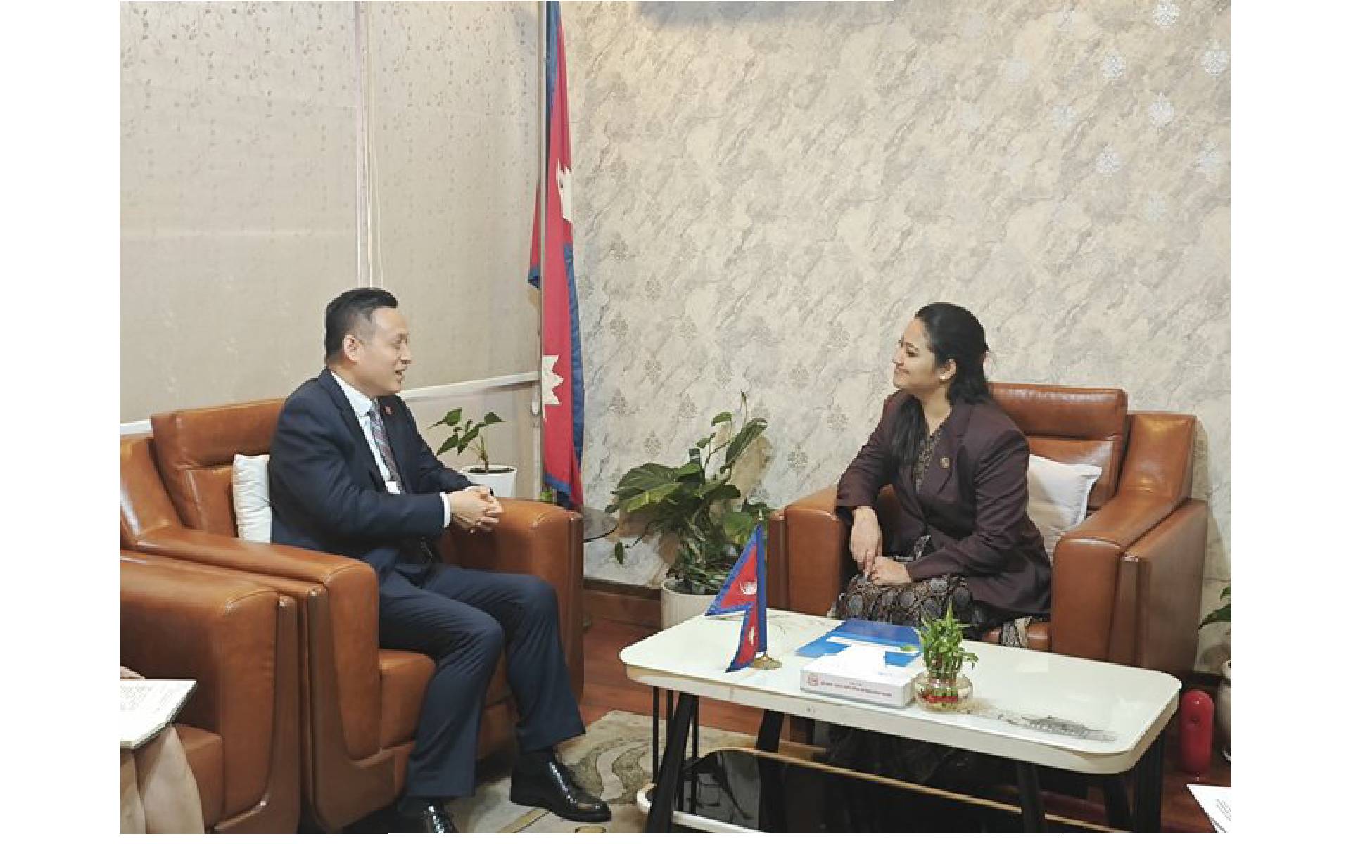 Chinese Ambassador Meets Minister Rawal