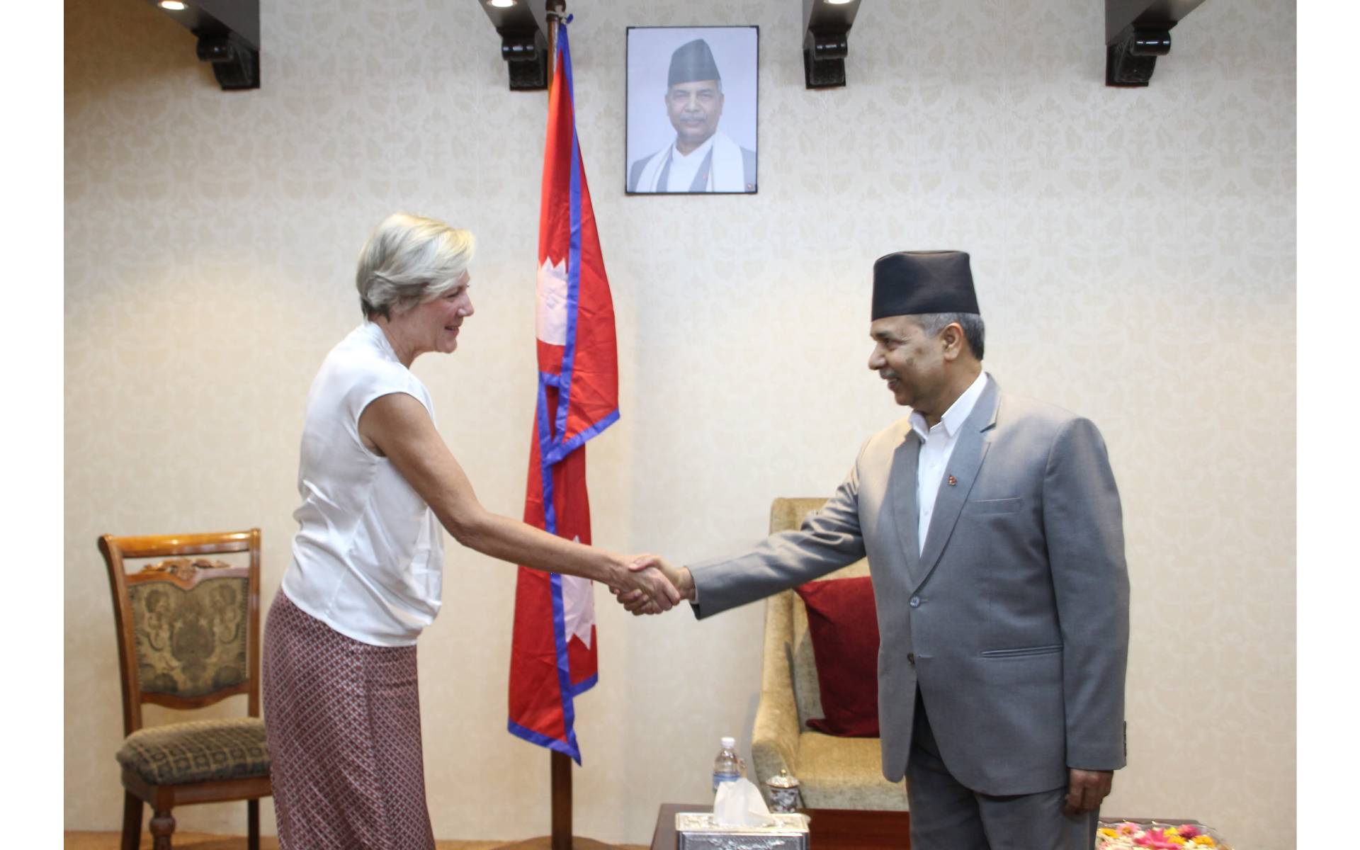 EU Ambassador Pays Farewell Call on Vice President 