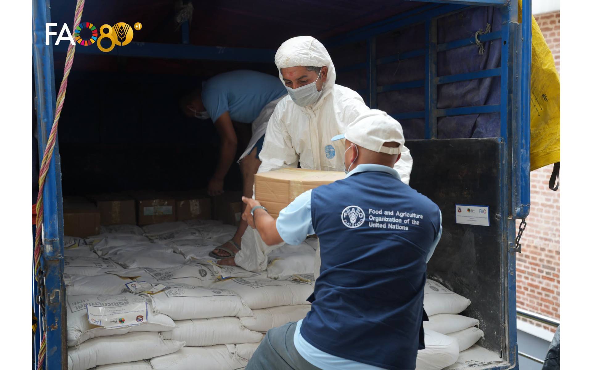 FAO Supplies Lime and Phenyl to Bidur Municipality and Devghat Rural Municipality  